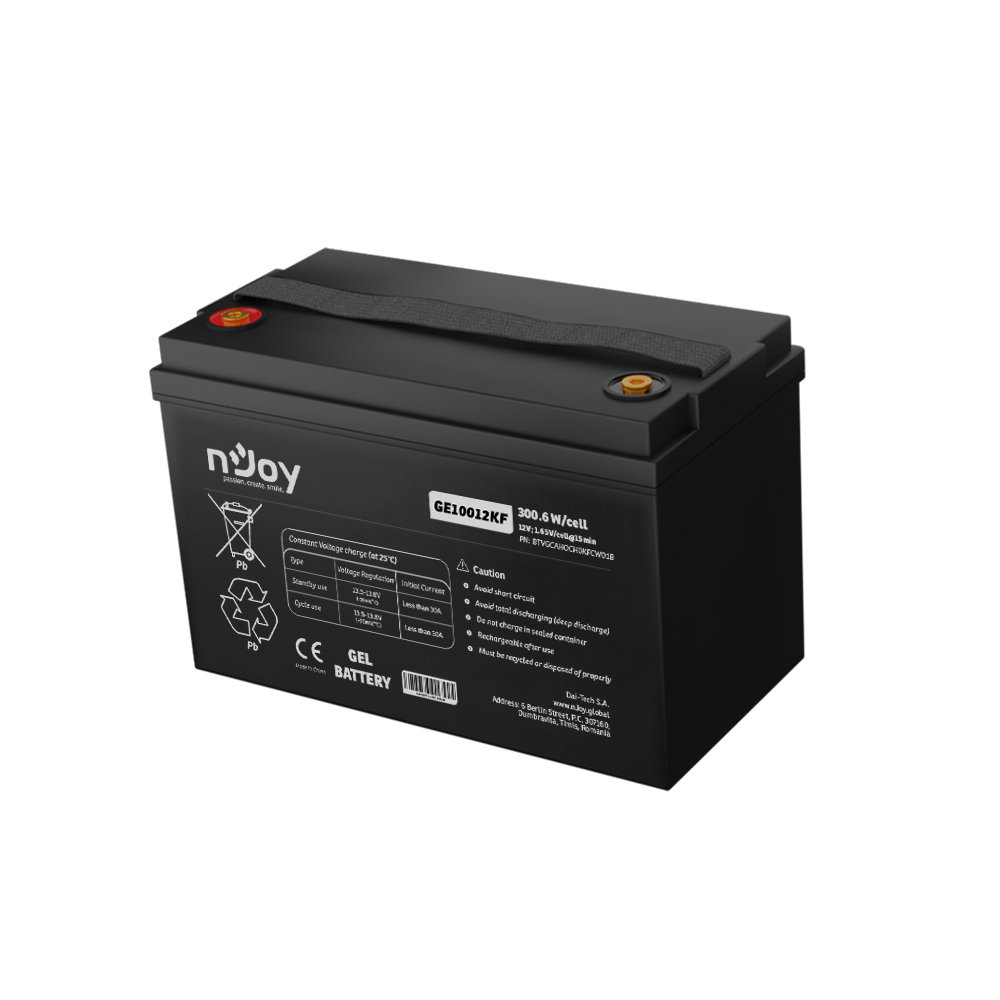 Acumulator 12V 100Ah pentru UPS