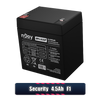 Baterie / Acumulator 12V 4.5Ah 5Ah Alarma Casa